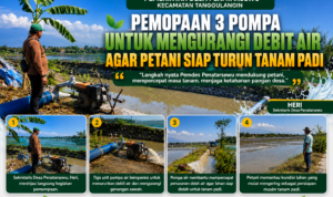 file_00000000873c71f5a74beba7d69f4e9c